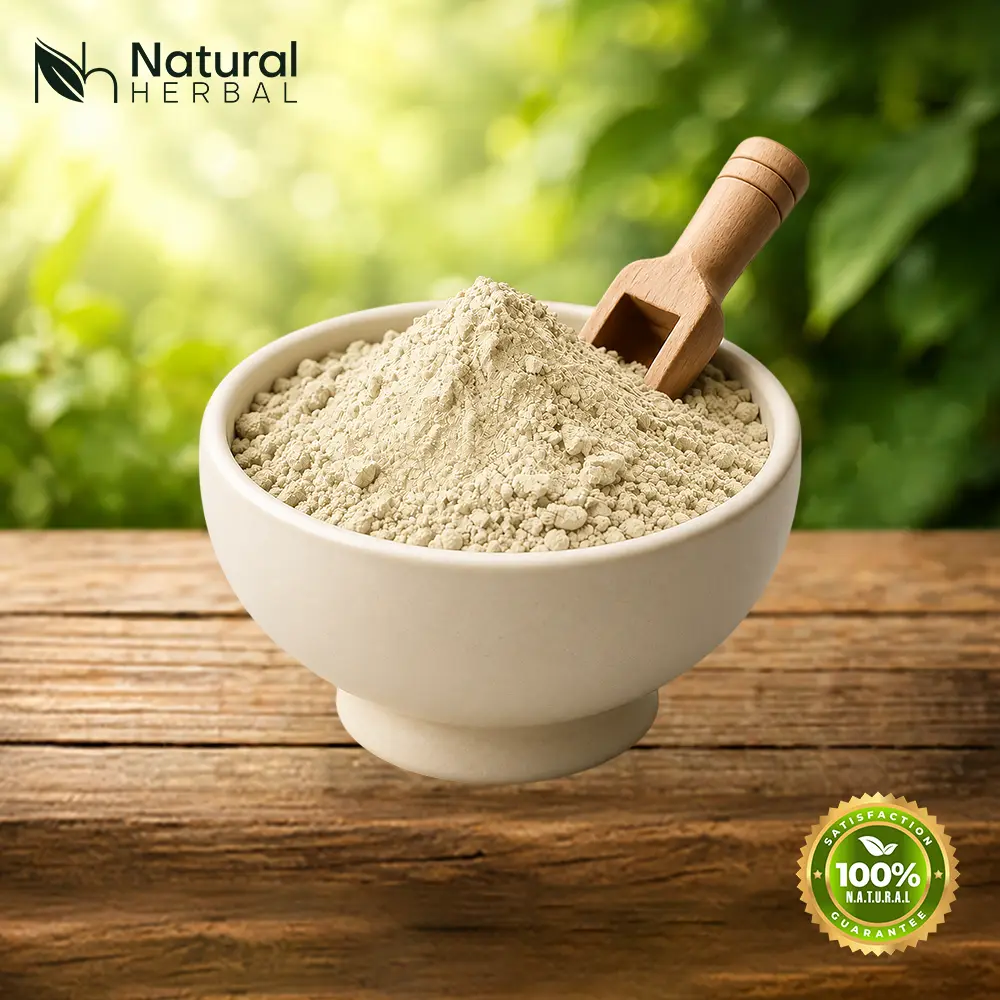Soap Nut Powder Wholesalers in Sojat City, Rajasthan Soap Nut Powder Wholesalers in Sojat City, Rajasthan